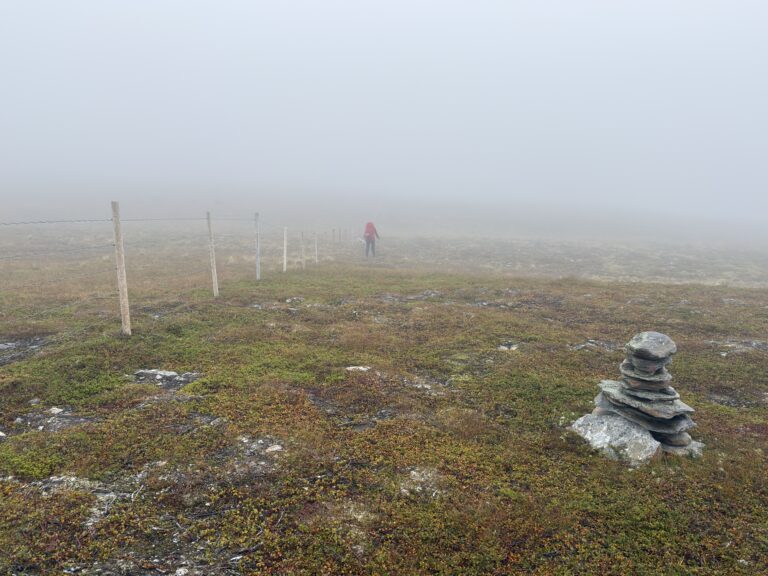 Auf Sonnenschein folgt Nebel
