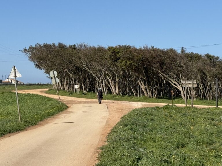 Letzte Bratwurst vor Amerika