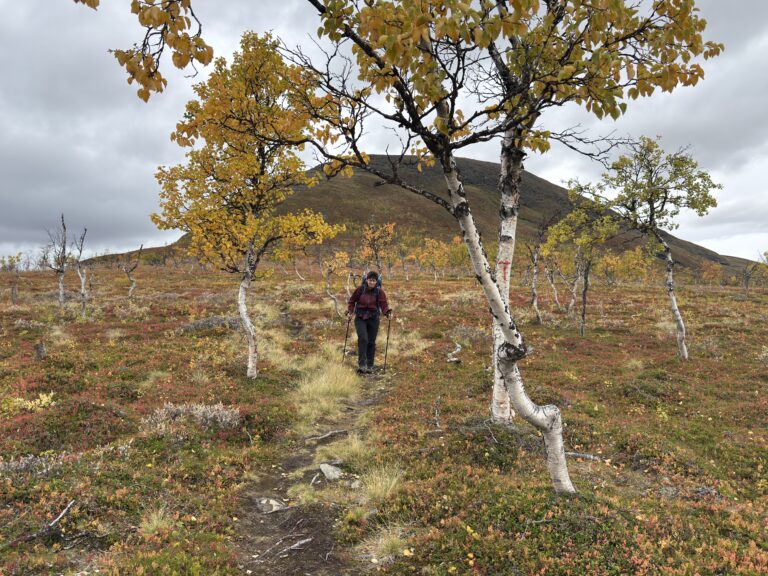 Roadtrip Norwegen 2026: Øse-Altevatnet und Wanderung zur Gaskashytta